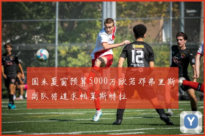 国米夏窗预算5000万欧若邓弗里斯离队将追求帕莱斯特拉